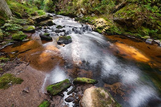 River runs over boulders in the primeval forest - HDR