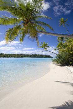 Tropical beach on a small island in Aitutaki Lagoon in the Cook Islands in the South Pacific.
