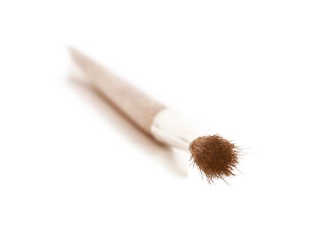 paint brush isolated on white background