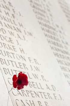 A poppy in the Australian Cemetery in the Vallee de la Somme in the Le Nord &amp; Picardy region of France. The Battle of the Somme took place in the First World War between 1st July and 21st November 1916. Over 600,000 allied and 465,000 German troops died.