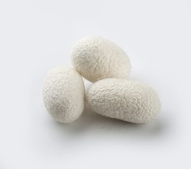 Three cocoons of the silkworm on the white background