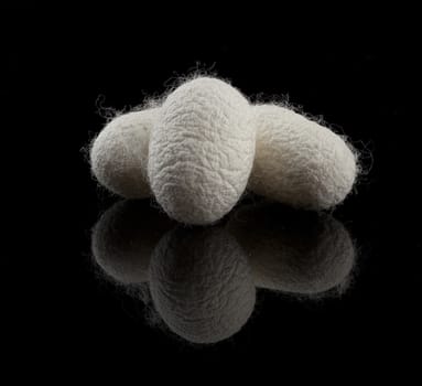 Three cocoons of the silkworm on the black background