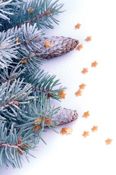 Christmas Theme. Frame of Spruce Branch with Hoar-Frost, Decorate Gold Stars and Fir Cone closeup on white background