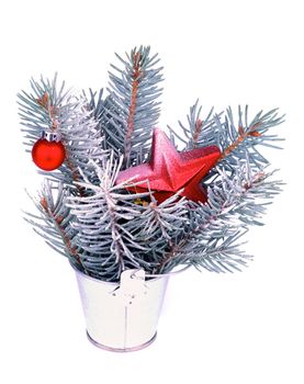 Bunch of Blue Spruce Branches with HoarFrost, Red Bauble and Red Star Shape in Tin Bucket isolated on white background