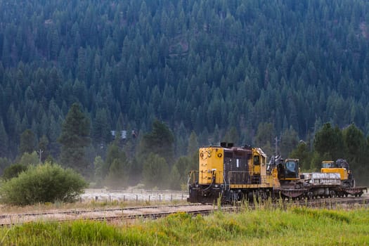 Black and yellow train with the forest on a mountain as a background.