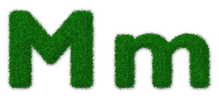 Illustration of capital and lowercase letter M made of grass