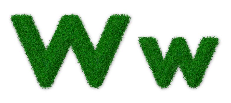 Illustration of capital and lowercase letter W made of grass
