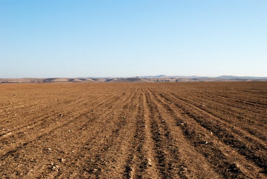 Kind of the empty, dry and stony field in desert Negev, Israel