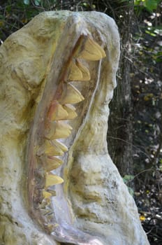 megallodon teeth
