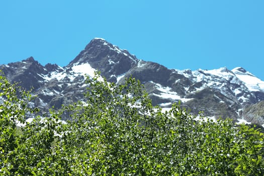 Snowy caucasus mountains and green forest under