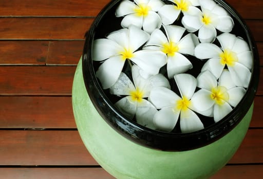 Frangipani flowers floating in the ancient bowl 