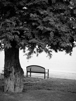 Lonely park bench in black and white