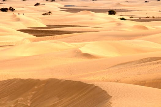 An Orange Sand Desert in Gran Canaria Island, Spain