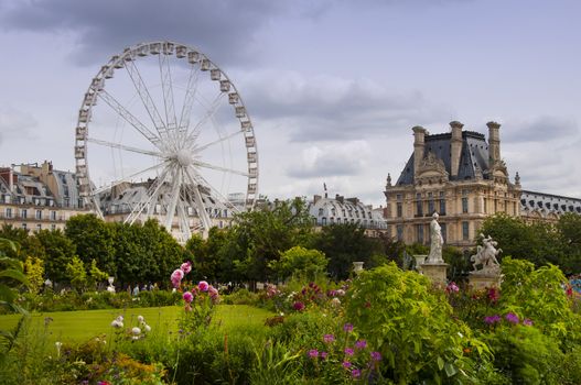 Jardin de Tuileries in Paris city