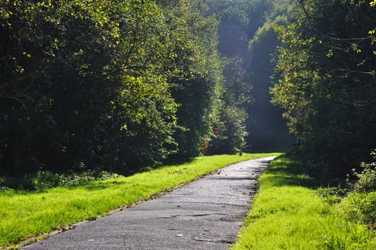 Misterious shady green alley with trees in the park in Fulda, Hessen, Germany