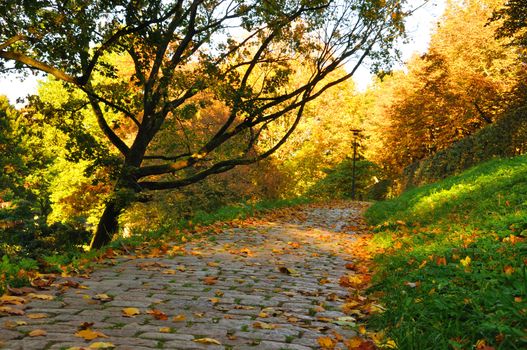 Nice pathway in the city at autumn in Fulda, Hessen, Germany