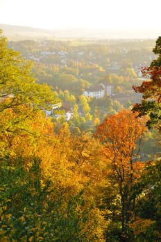 Autumn yellow trees on Frauenberg in Fulda, Hessen, Germany
