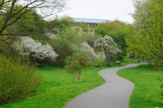 Blooming alley with trees in the park in Fulda, Hessen, Germany