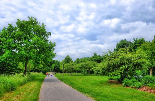 Alley in Aueweiher Park  in Fulda, Hessen, Germany