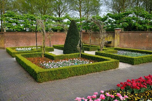 Garden with small bushes, white, orange and red tulips and brick walls in Keukenhof park in Holland