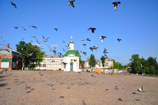 Flock of fying pigeons over the square in front of Lavra, Sergiev Posad, Moscow region, Russia