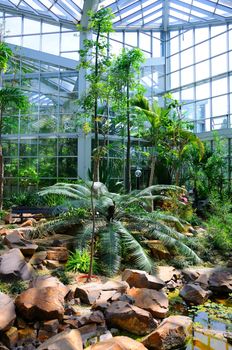 Jungles in Palmen Garten, Frankfurt am Main, Hessen, Germany