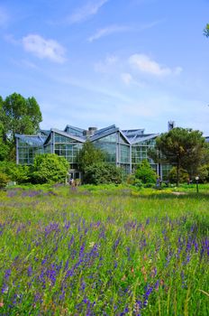 Nature of Palmen Garten, Frankfurt am Main, Hessen, Germany