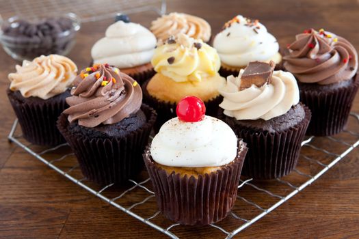 Close up of some decadent gourmet cupcakes frosted with a variety of frosting flavors. Shallow depth of field.