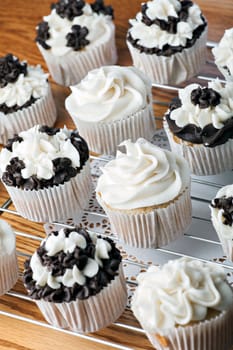 Close up of some decadent gourmet cupcakes with chocolate and vanilla frosting. Shallow depth of field.