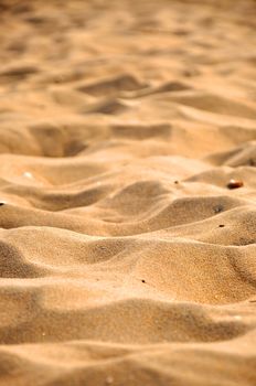 Sand on the beach in Zandvoort (Northen Sea in Holland)