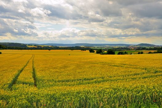 Beautiful landscape (fields) near Schloss Fasanarie in Fulda, Hessen, Germany