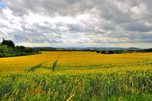 Beautiful landscape (fields) near Schloss Fasanarie in Fulda, Hessen, Germany