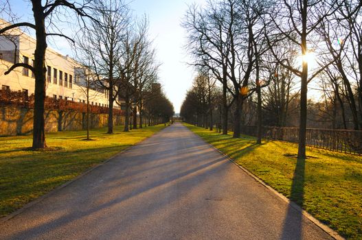 Shadow alley in early spring in Stadtschloss park in Fulda, Hessen, Germany