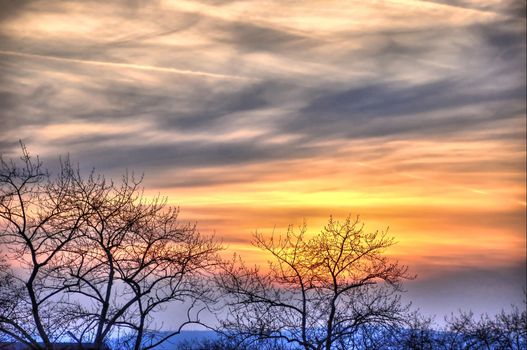 Beautiful sunset with trees silhouettes in Fulda, Hessen, Germany