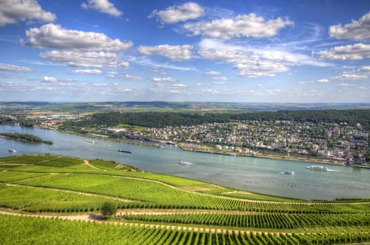 Vineyards on the bank of Rhein river, Ruedesheim, Rhein-main-pfalz, Germany