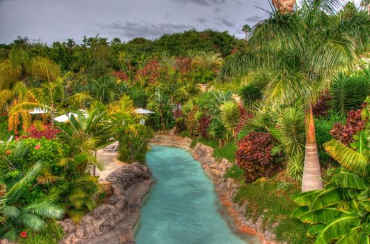 River in the park with palms, Tenerife, Canarian Islands