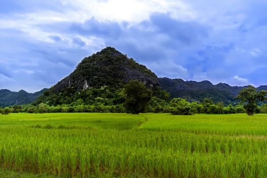 Fields and Hills of Laos. Khammouane province..