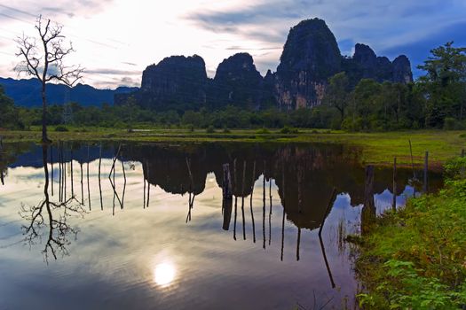 Reflections of Laos. Old Tree. Khammouane province.