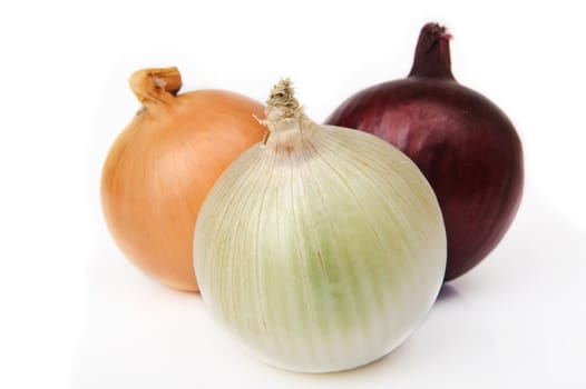 Three different types onions on white background