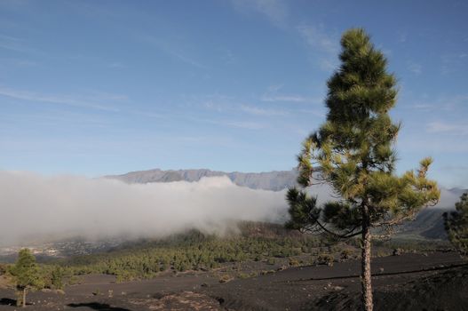 Above the White Clouds on a Valley on a Volcanic Island