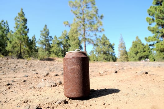 Old Rusty Can on the Floor into the Wild