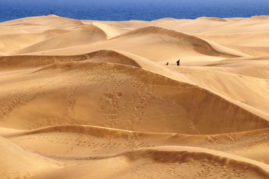 An Orange Sand Desert in Gran Canaria Island, Spain