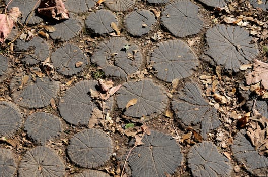 wooden pavement