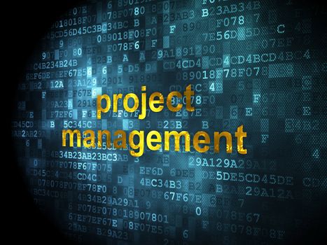 Business concept: pixelated words Project Management on digital background, 3d render