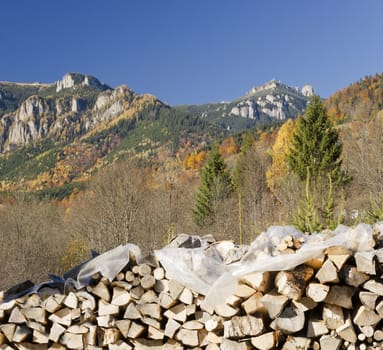Wooden logs for autumn supply in mountain rural landscape