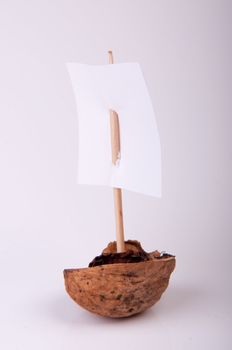 An image of walnut boat isolated