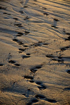 Sand on the beach with sunset lighting