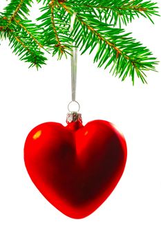 Christmas tree decorations in the form of heart on a Christmas tree branch