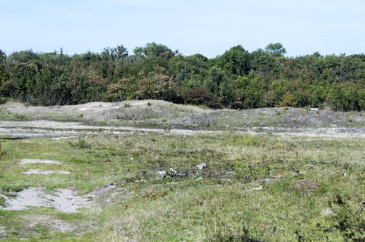 nature area called waterplas near the dutch place Rockanje