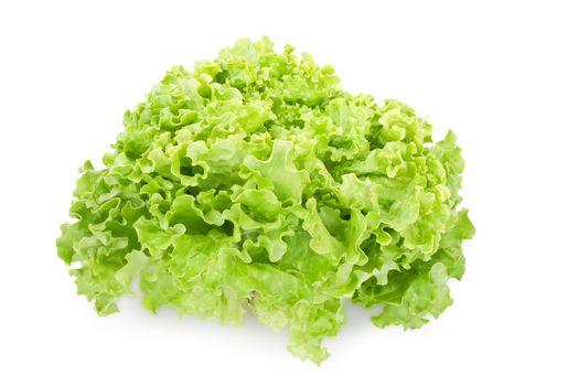 fresh green salad isolated on white background